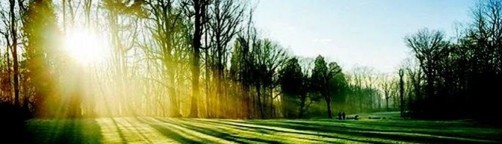 Wayfairers Golf Society